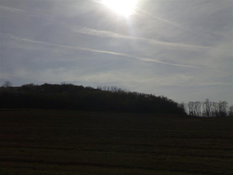 200704091736 .jpg